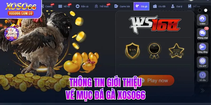 Thông tin giới thiệu về mục đá gà Xoso66