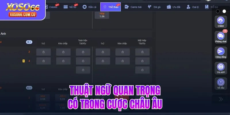 Thuật ngữ quan trọng có trong cược Châu Âu